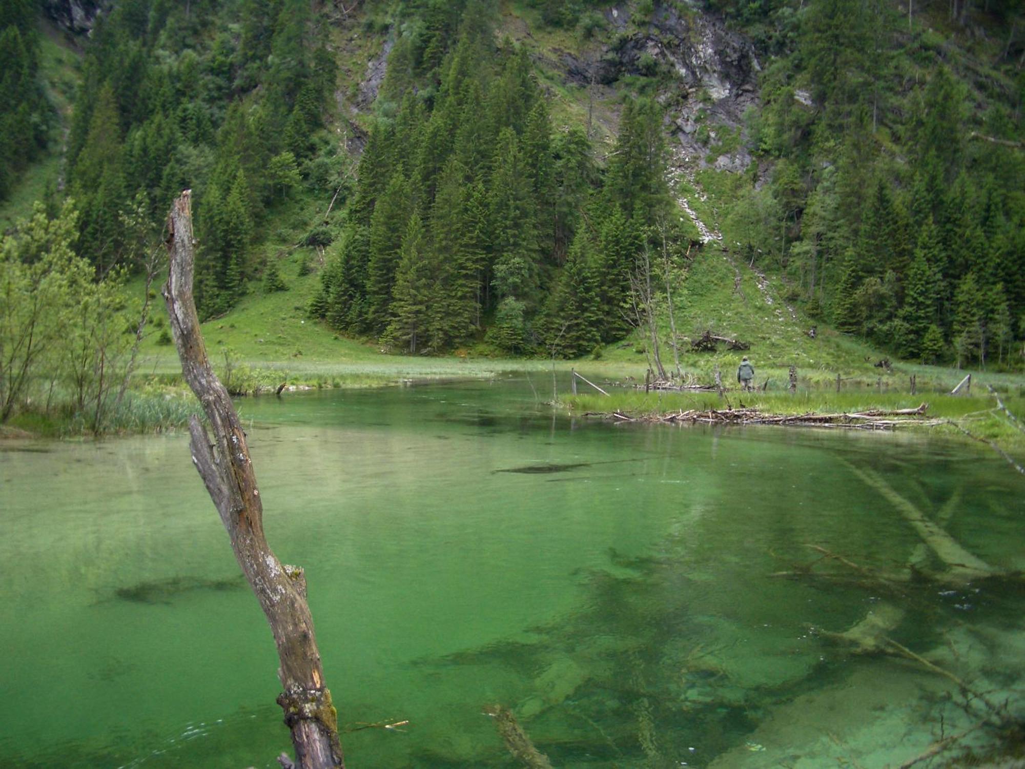 Landhotel Almroesl Im Grossarltal 후트샬라그 외부 사진